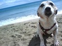 Kimo